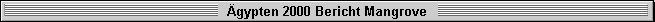 �gypten 2000 Bericht Mangrove